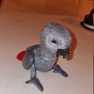 Baby African Grey STL