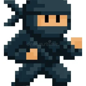 Pixel Ninja Model