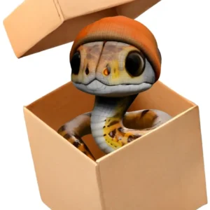 Snake out of Box Model