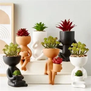 Garden / Plants