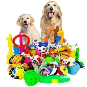 Pet Accessories