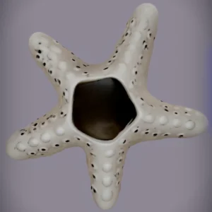 Starfish Ornament Model